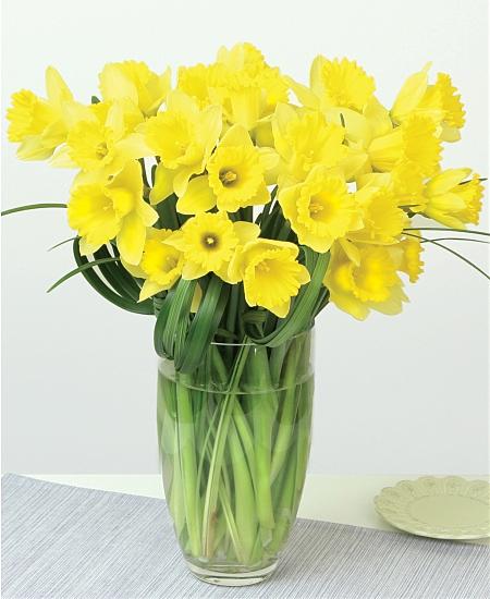 Discount Mothers Day Flowers Under $50 - Home